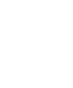 Zimmerei Birmoser Logo Weiss